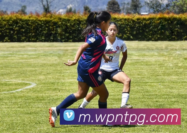 nba投注网站APP 体育赛事宣传图